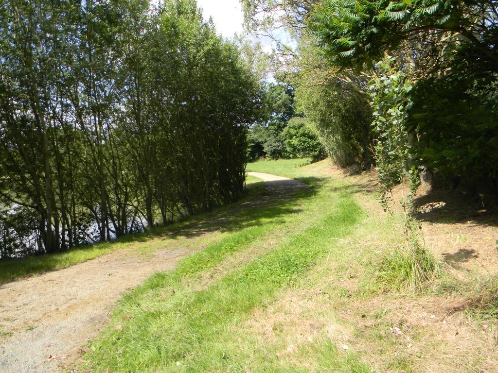 Domaine Des Mille Oiseaux Villa Villiers-Charlemagne Luaran gambar